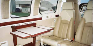 Beech Baron 58 view for Puerto Rico charter