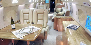 Gulfstream 2 / IIB / II-SP view for Puerto Rico charter
